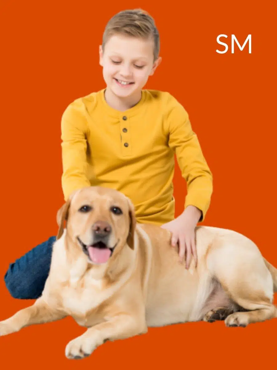 online typing jobs talent desire 5 Of The Best Work From Home Jobs For Pet Lovers